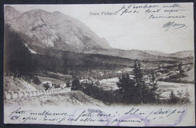 SV * Sinaia * GURA PADUREI * 1905 * clasica foto