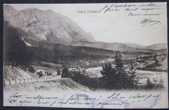 SV * Sinaia * GURA PADUREI * 1905 * clasica