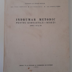 BAIASU NICOLAE - INDRUMATOR METODIC PENTRU GIMNASTICA BAIETI