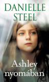 Ashley nyom&aacute;ban - Danielle Steel