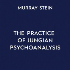 The Collected Writings of Murray Stein: Volume 4: The Practice of Jungian Psychoanalysis