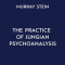 The Collected Writings of Murray Stein: Volume 4: The Practice of Jungian Psychoanalysis