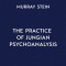 The Collected Writings of Murray Stein: Volume 4: The Practice of Jungian Psychoanalysis