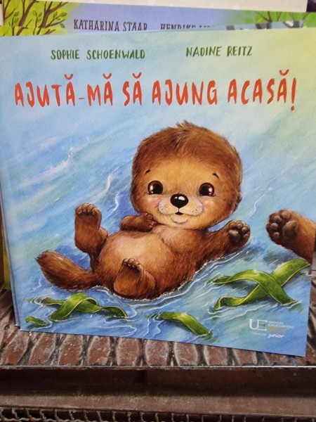 Ajuta-ma sa ajung acasa - Sophie Schoenwald