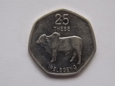 25 THEBE 2013 BOTSWANA foto