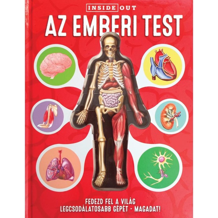 Az emberi test - Fedezd fel a vil&aacute;glegcsod&aacute;latosabb g&eacute;p&eacute;t - Magadat!
