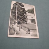 Cumpara ieftin CARTE POSTALA BAILE HERCULANE -IN PARC CIRCULATA