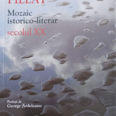 MOZAIC ISTORICO-LITERAR. SECOLUL XX-DINU PILLAT