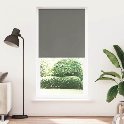 Jaluzea cu rolă opaca gri 105x230 cm Latime material 100,7 cm foto