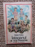 IATAGANUL SI ALTE POVESTIRI-DOINA CETEA