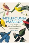Intelepciunea pasarilor - Alison Davies