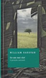 Ce-am mai ras! O poveste serioasa - William Saroyan, Litera, 2017, Roman, Clasici Moderni, Coperta Cartonata, 206 pagini