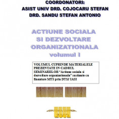 Acțiune socială și dezvoltare organizațională (vol. I și vol. II) - Ștefan COJOCARU & Antonio SANDU (coords.)