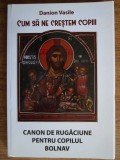 Danion Vasile - Cum sa ne crestem copii