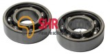 Rulment ambielaj 6002-2Z SKF(2 buc)