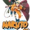 Naruto, Volume 20