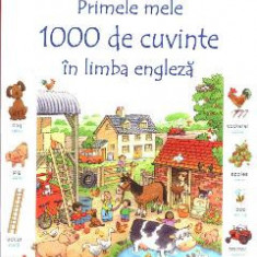 Primele mele 1000 de cuvinte in limba engleza