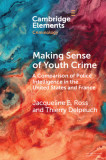 Making Sense of Youth Crime: A Comparison of Police Intelligence in the United States and France