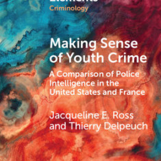 Making Sense of Youth Crime: A Comparison of Police Intelligence in the United States and France