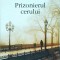 Carlos Ruiz Zafon - Prizonierul cerului