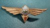 Insigna Navigator Aerian Cl 2 aviatie militara 1966 1977 RSR