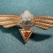 Insigna Navigator Aerian Cl 2 aviatie militara 1966 1977 RSR