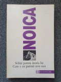 SCHITA PENTRU ISTORIA LUI. CUM E CU PUTINTA CEVA NOU - Noica