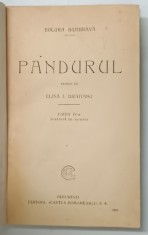 PANDURUL de BUCURA DUMBRAVA , EDITIA A IV A REVAZUTA DE AUTOARE