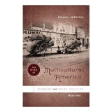 The Rise of Multicultural America