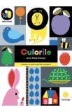Culorile - Aino-Maija Metsola