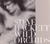 Wild Orchids | Steve Hackett, Rock