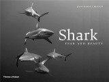 Shark: Fear and Beauty | Jean-Marie Ghislain