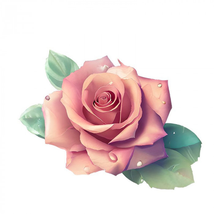 Sticker decorativ, Trandafir, Roz, 60 cm, 7561ST