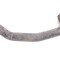 Furtun de lichid de răcire FORD FIESTA VI 2015 OEM: C1B1-6C646-AH | 14650068