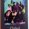 CLUBUL PUTREGAIURILOR de JONATHAN COE , 2004