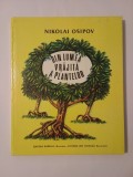 Nikolai Osipov - Din lumea vrăjită a plantelor (ilustrații Victor Kirillov; 1988)