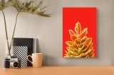 Tablou Canvas Vibrant cu Plante Suculente și Frunze, 26 x 39 cm, CMCLASS