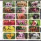 Cook 2010 flori MI 1618-1635 supratipar auriu MNH