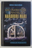 MIC INDREPTAR PENTRU NARAVURI MARI de MIHAI SALCUTAN , 2010