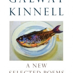 A New Selected Poems