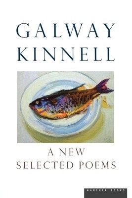 A New Selected Poems foto