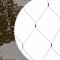 Foto  - 2