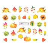 Cumpara ieftin Tatuaj Unghii LUXORISE Fall Moment, BN-1524, LUXORISE Nail Art