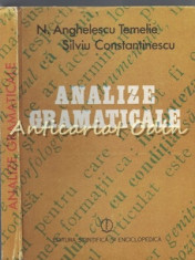 Analize Gramaticale - N. Anghelescu Temelie, Silviu Constantinescu foto