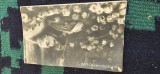 Fotografie an 1927 , MOARTEA REGELUI FERDINAND