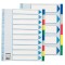 Separator index plastic Esselte A4 Maxi 10 culori