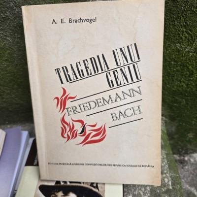 Tragedia unui geniu Friedemann Bach - A.E. Brachvogel foto