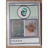 FREESIA-T. ECHIM, V. OPRITA-225595