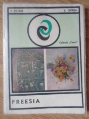 FREESIA-T. ECHIM, V. OPRITA-225595 foto