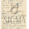 ALEXANDRU T. STAMATIAD , &quot; MI-E SUFLETUL O CREANGA &quot; , POEZIE MANUSCRIS